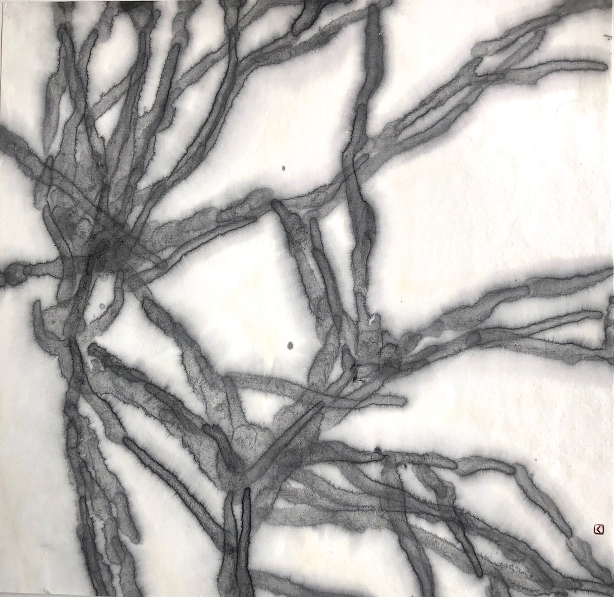 Of Lines, Veins and Trees 4 Sumi ink, Getou （Shell ginger ) paper 線、木、血管 4　墨、月桃紙　2023 60 X 60 cm